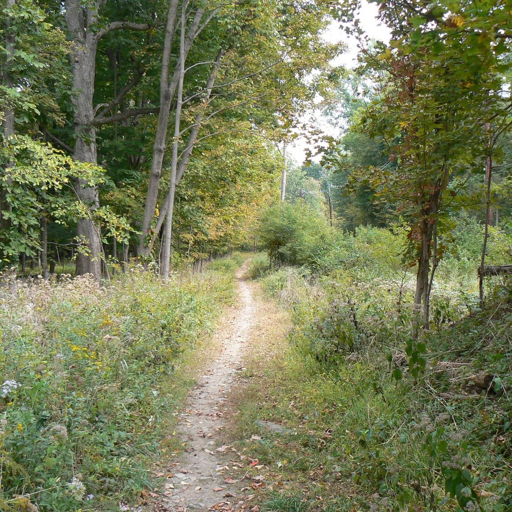 Riverfront Park 3