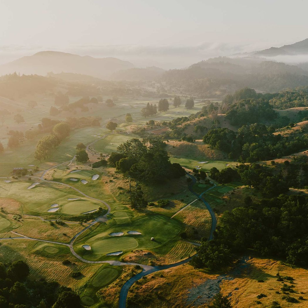 Meadow Club 3