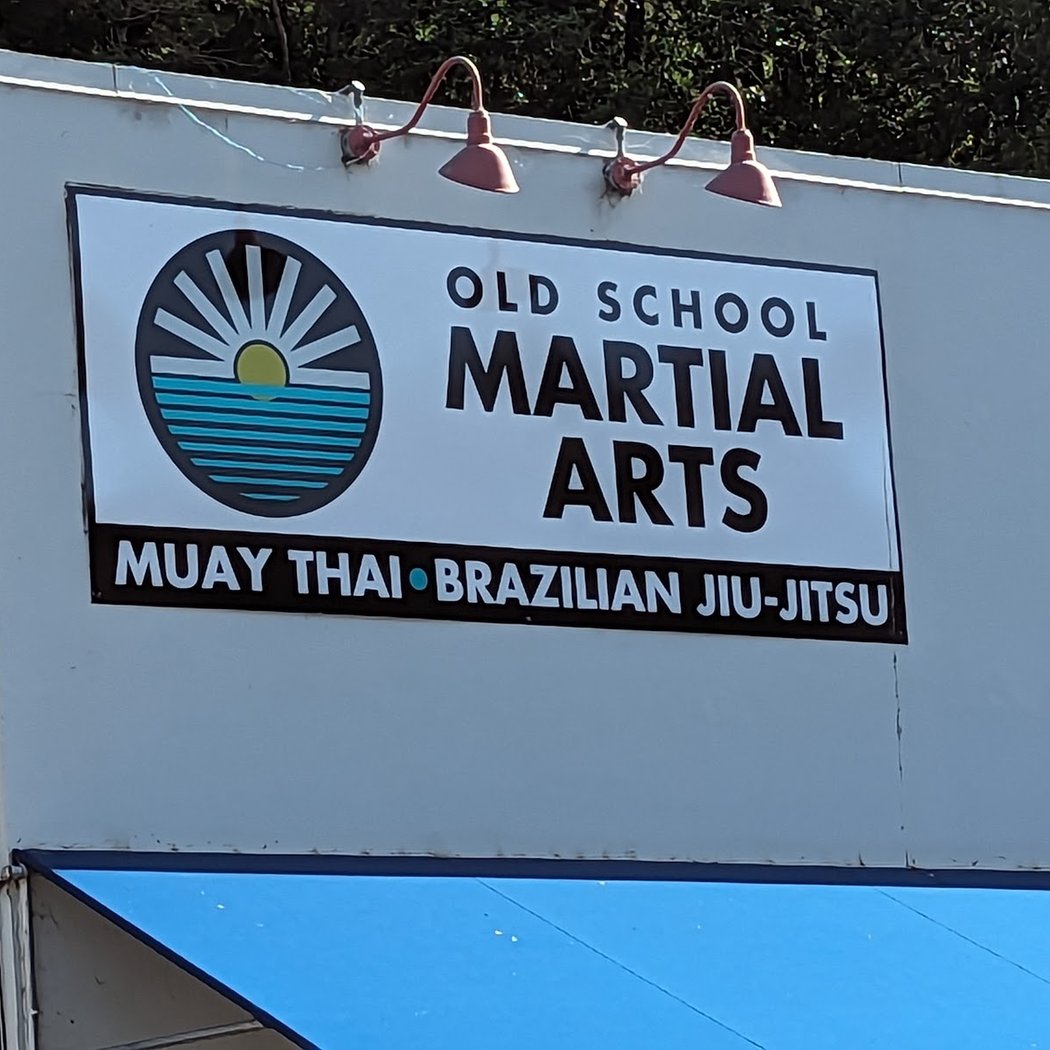 Adult Brazilian Jiu-Jitsu 3