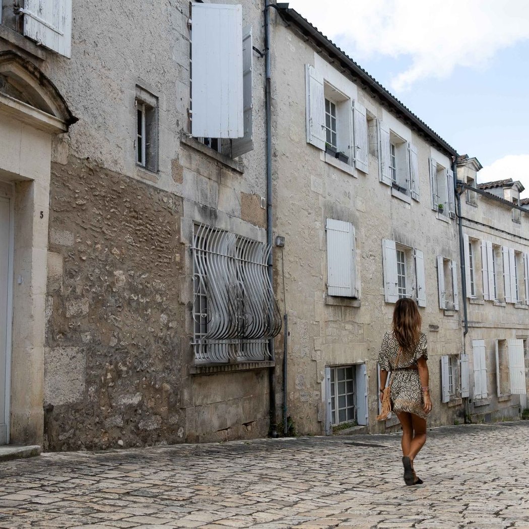 Royal Castle of Cognac 2