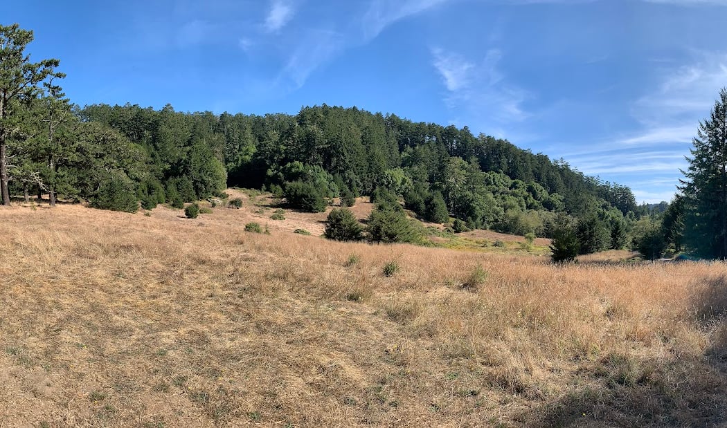 Bear Valley Trail 3