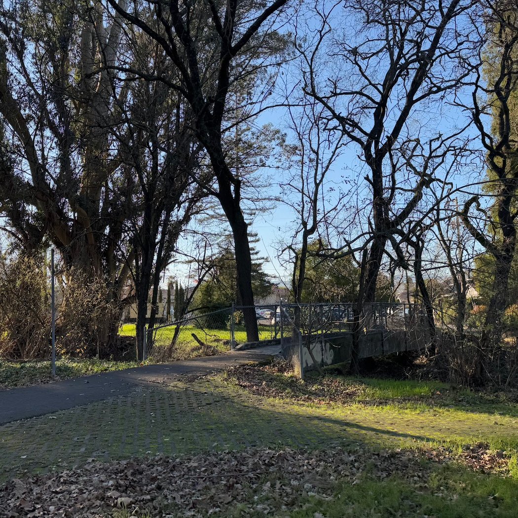 Nathanson Creek Park 2