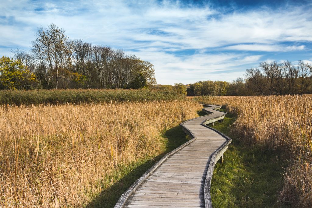 Wawayanda State Park 1