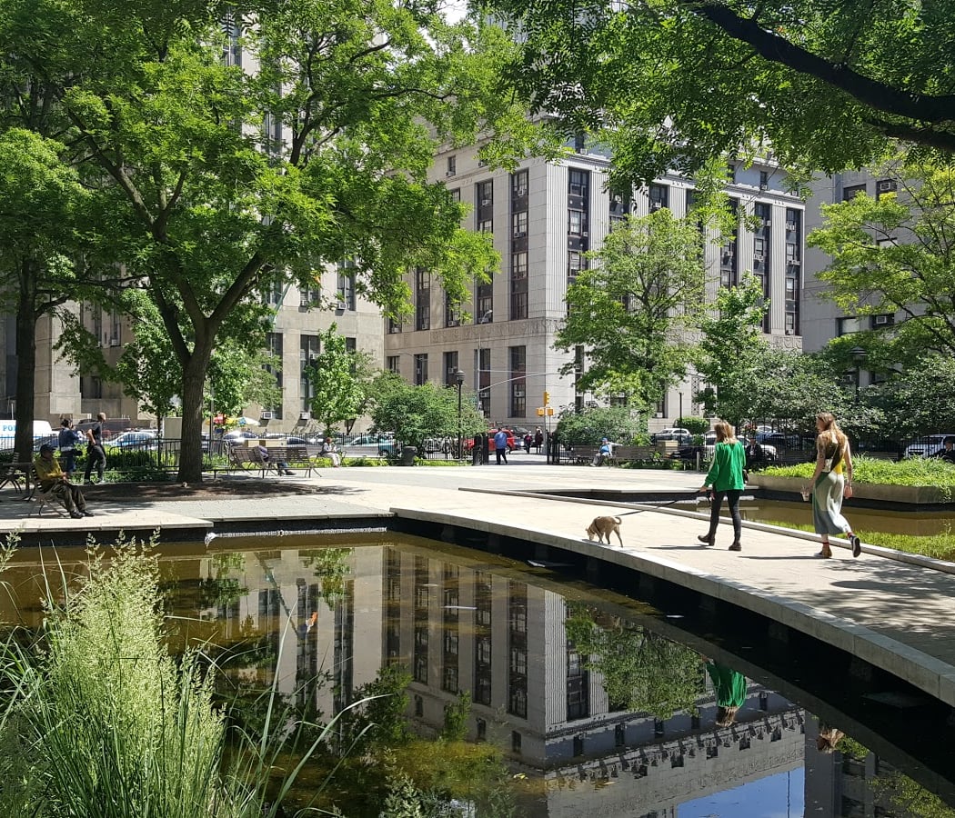 Collect Pond Park 1
