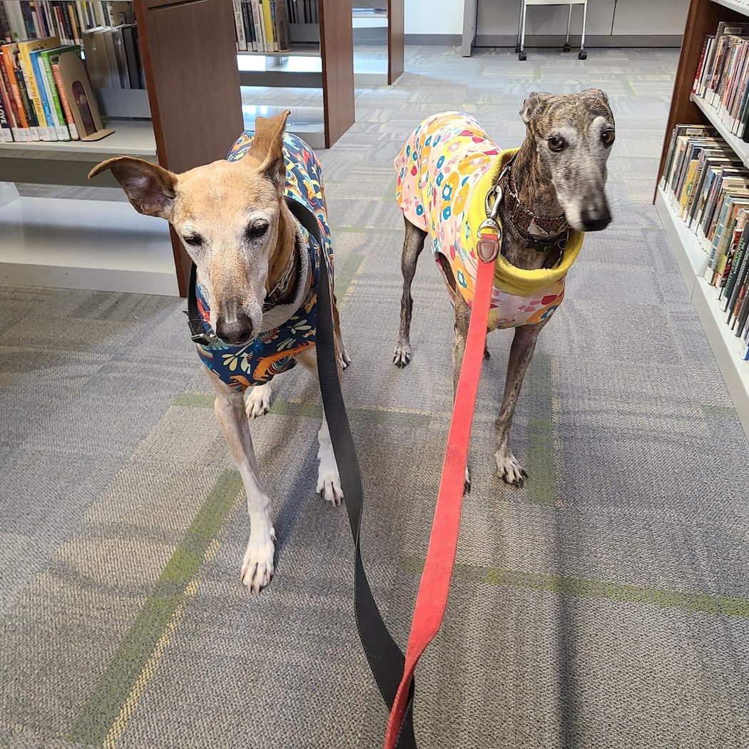Paws to Read with Baxter 1
