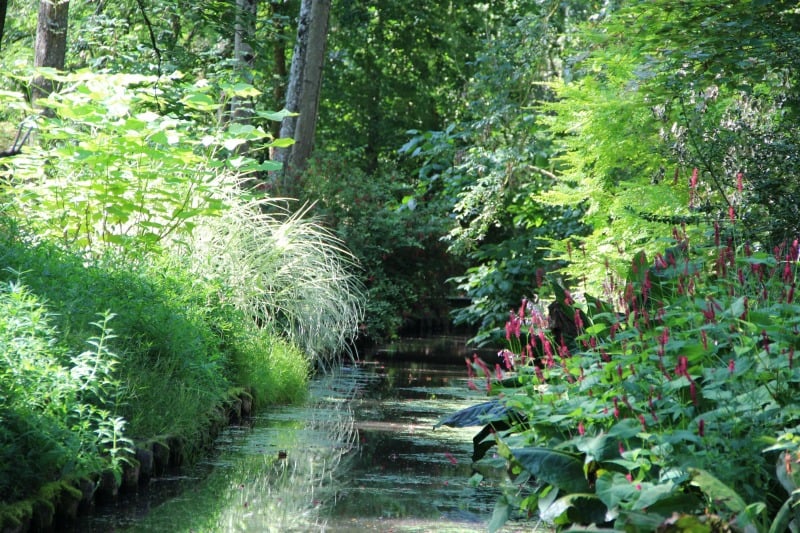 Arboretum d'Ilex garden 4