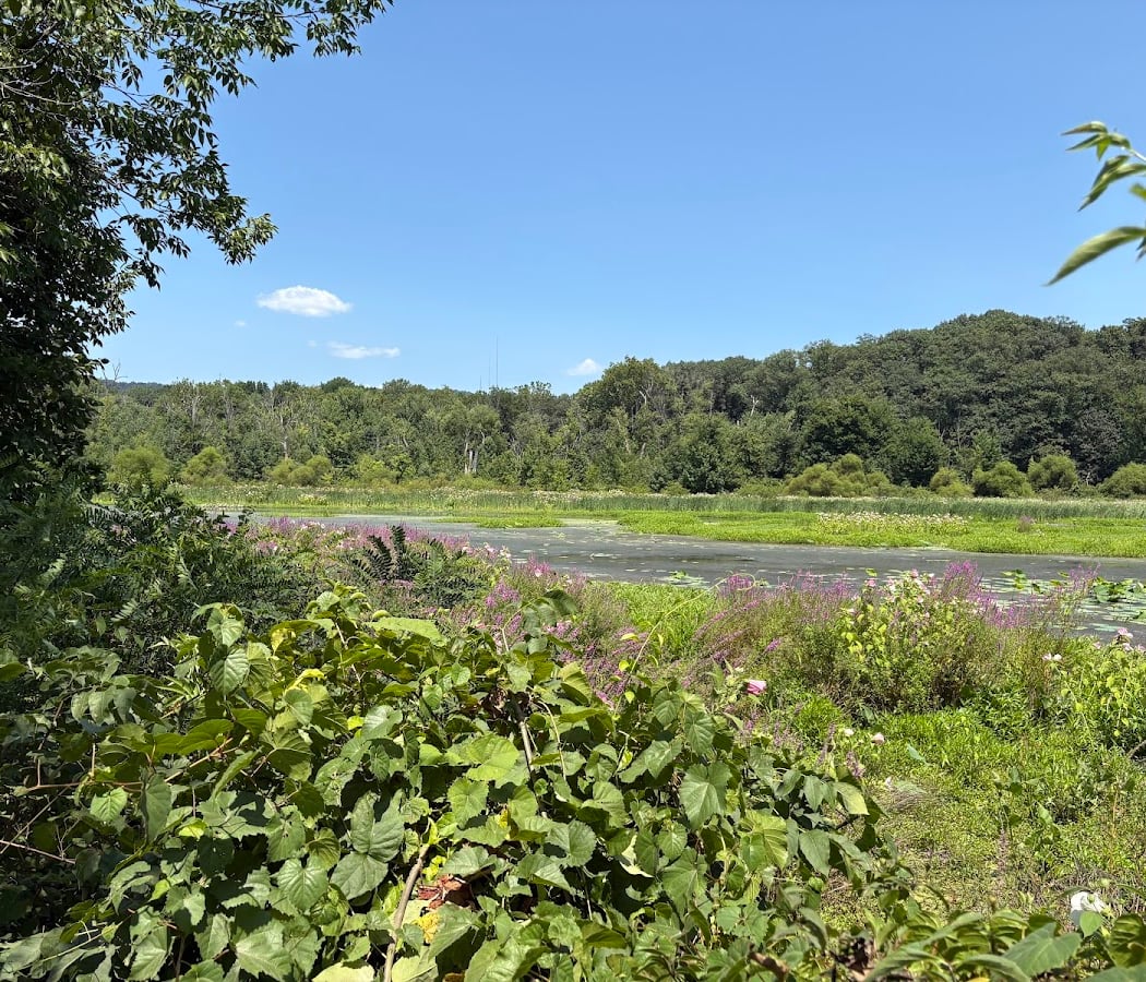Wildwood Park 2