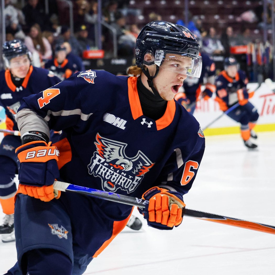 Flint Firebirds vs. Niagara IceDogs 3