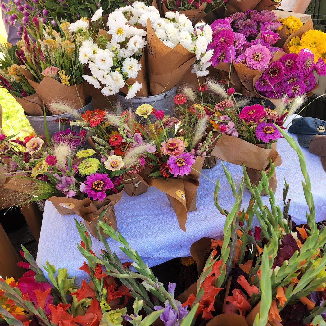 Burlington Farmers Market 1