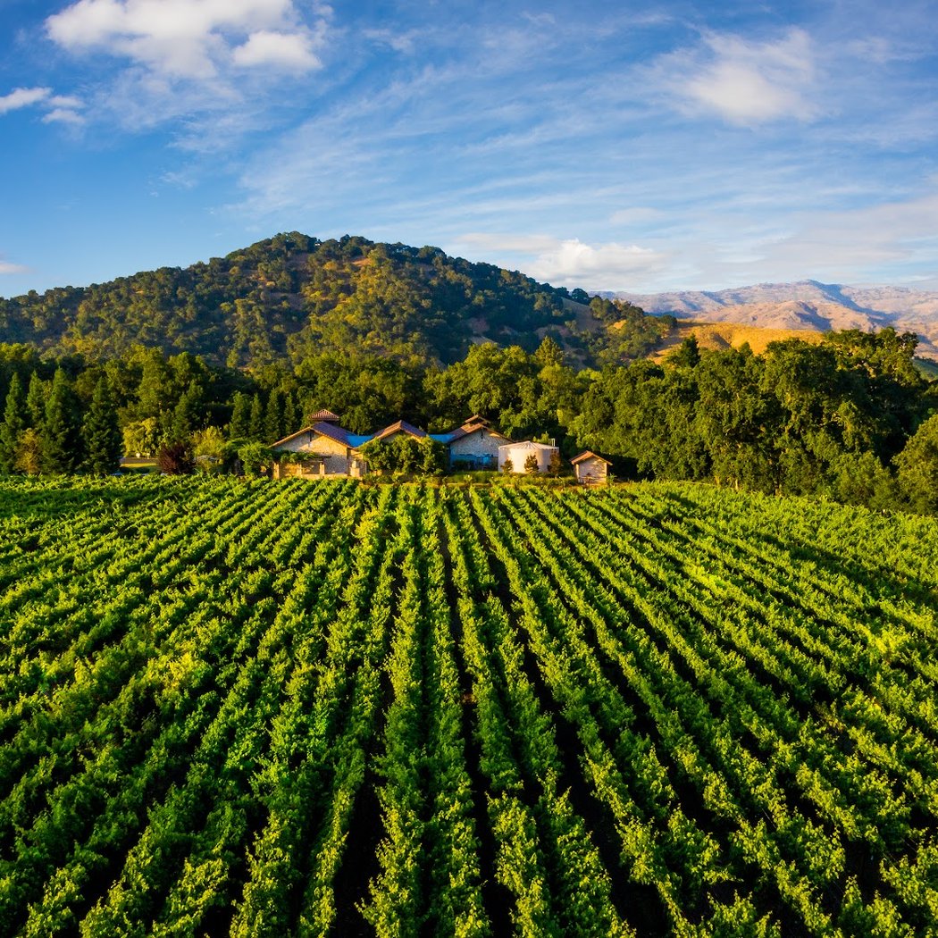 Bell Wine Cellars 1