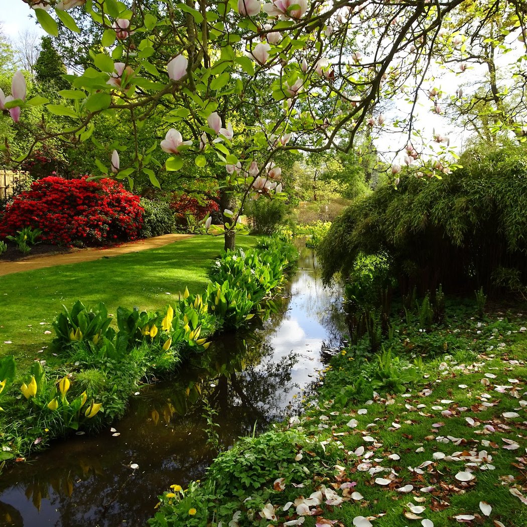 The Savill Garden 1