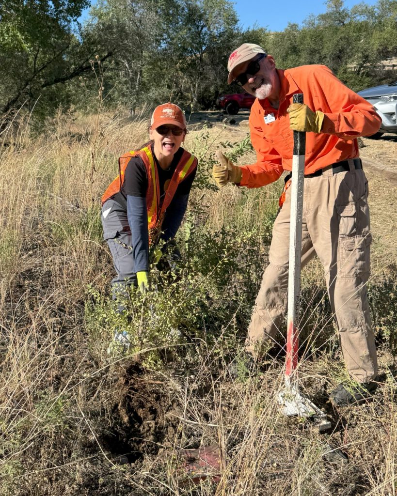 Prescott Creeks Monthly Conservation Project 3
