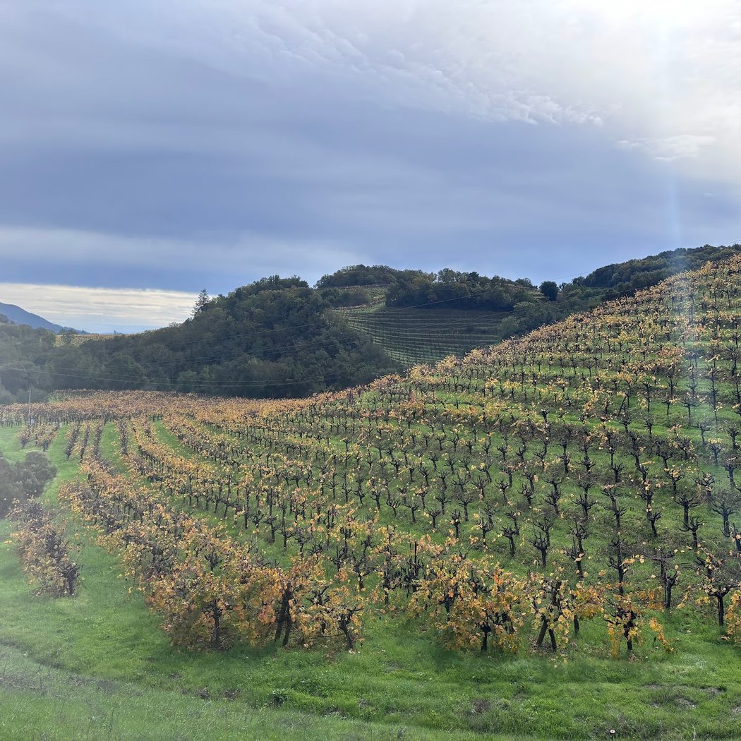 Pushpak Wine Country Tours 3