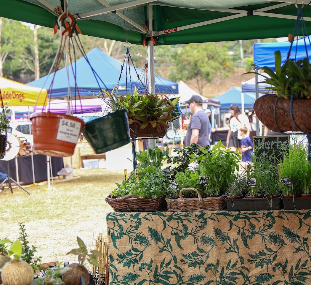 Bardon Markets — Friday Evening Session 1