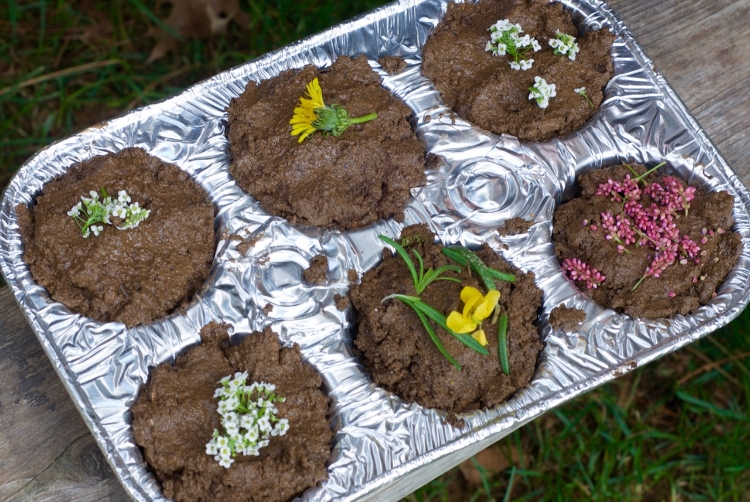Backyard and Beyond: Mud Kitchen 1