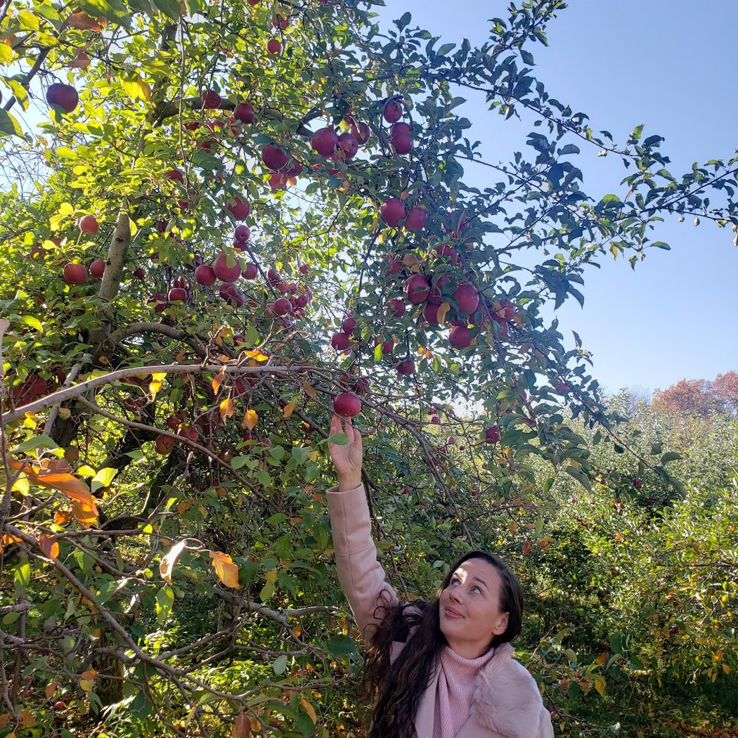 Sleepy Hills Orchard 1