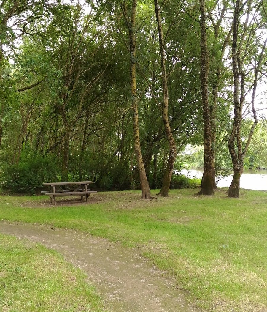 Complexe Sportif de la rive 3