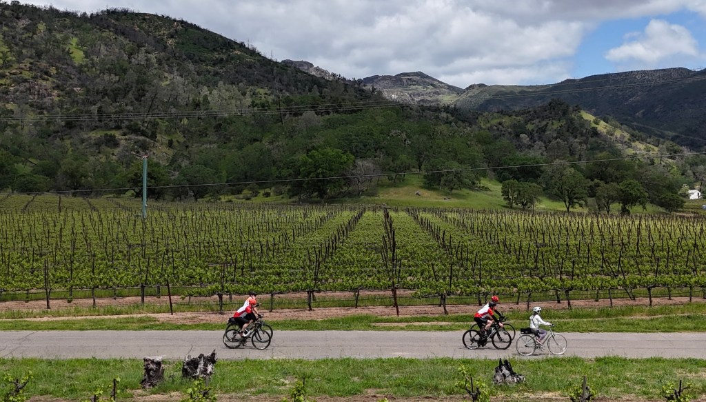 Calistoga Bikeshop 3