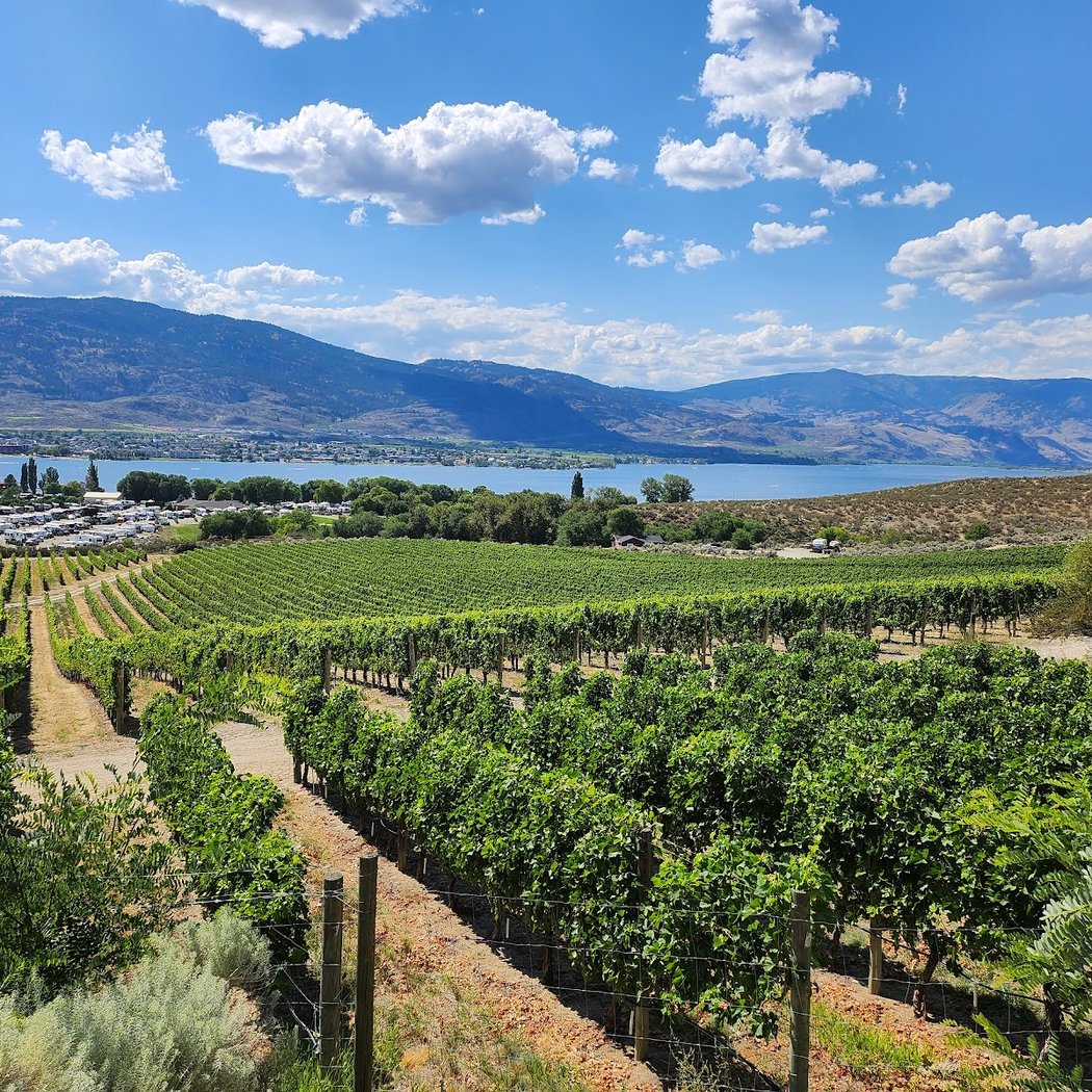 Nk'Mip Cellars 2