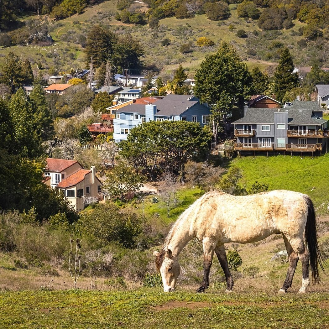 Horse Hill Preserve 1