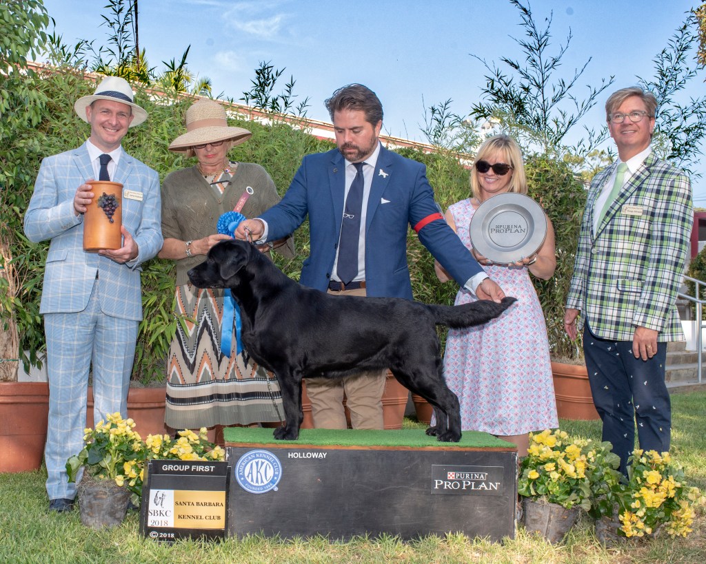 Santa Barbara Kennel Club Show 4