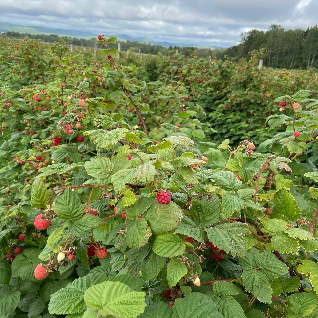 La Vallée de la Framboise Inc. 2