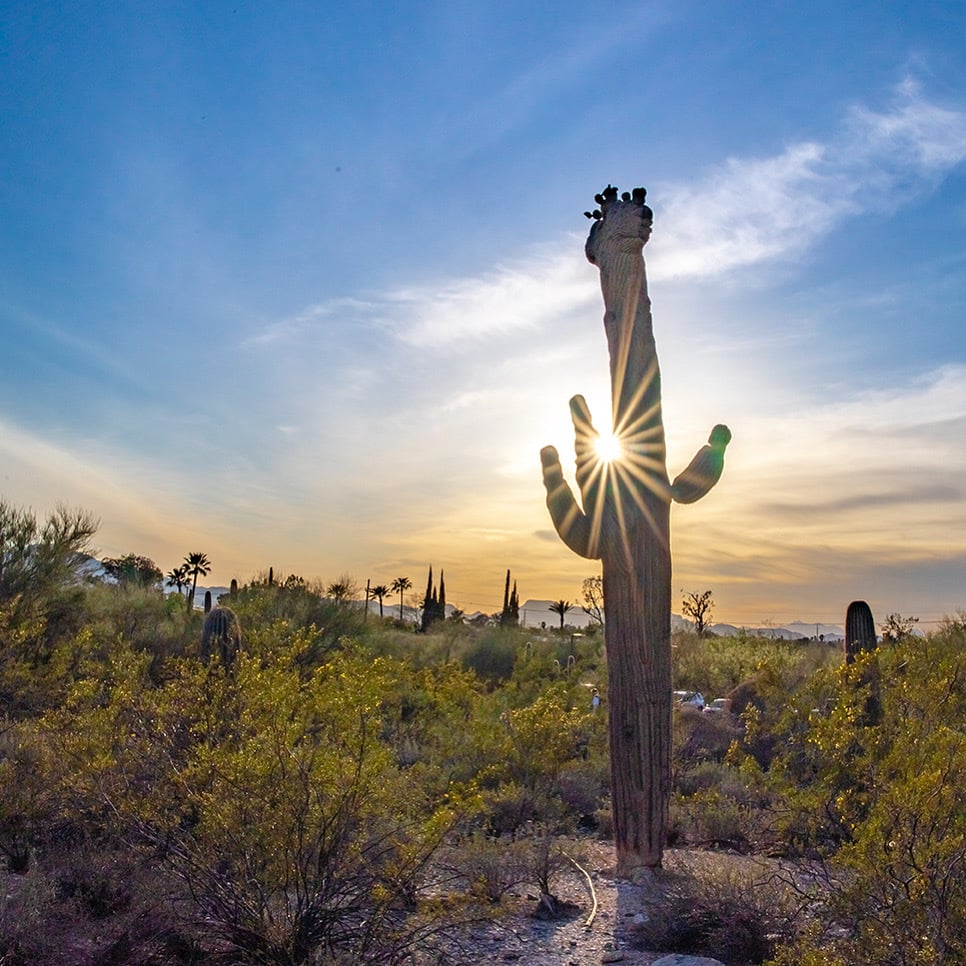 Tohono Chul Botanical Gardens, Galleries, and Bistro 1