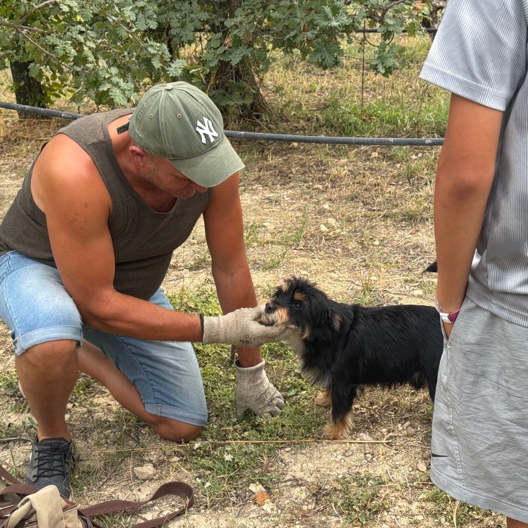 Les Pastras Truffle Farm 2