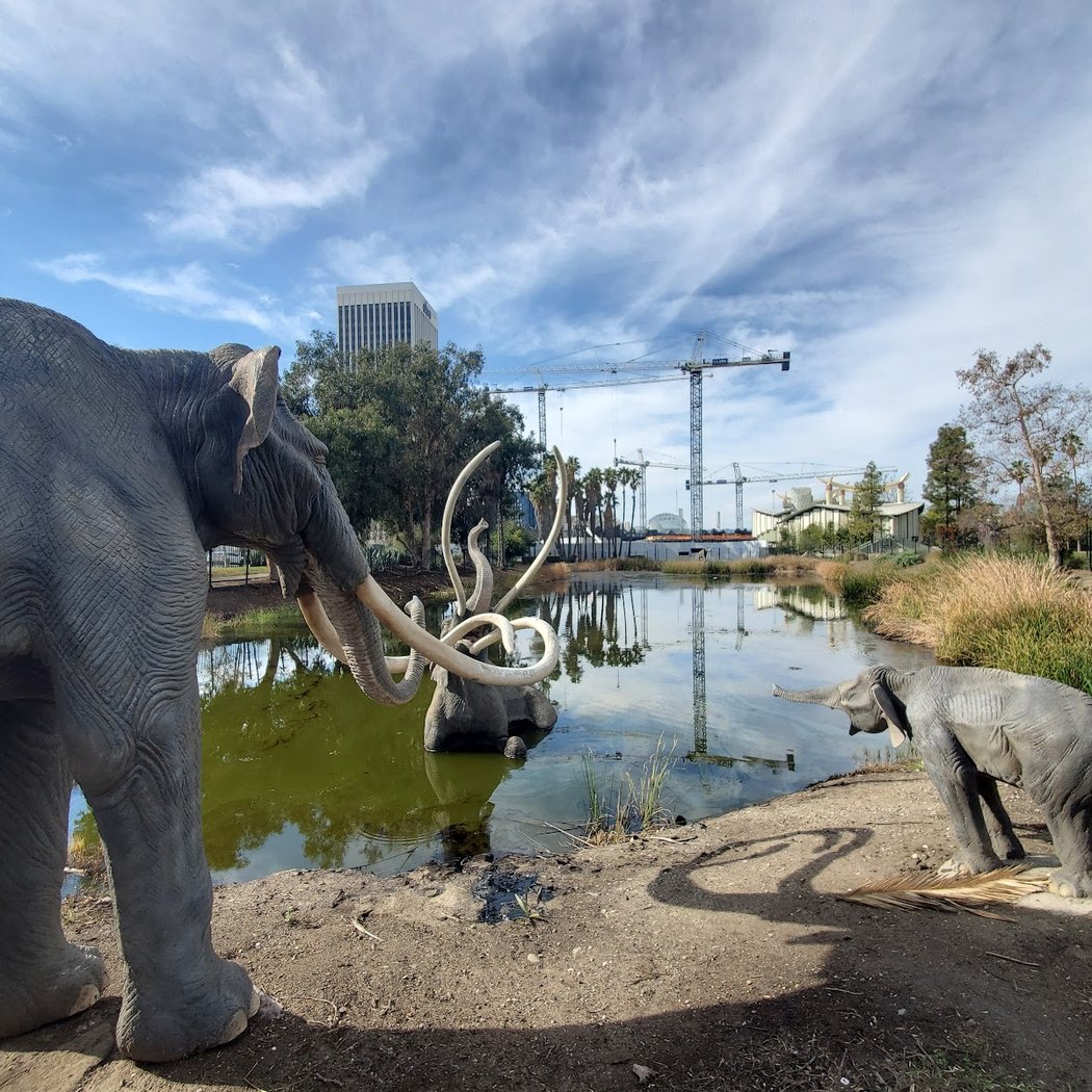 KCRW Summer Nights With La Brea Tar Pits