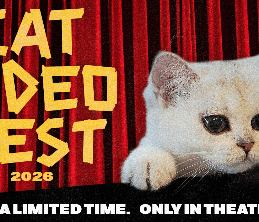 CatVideoFest 2026 2