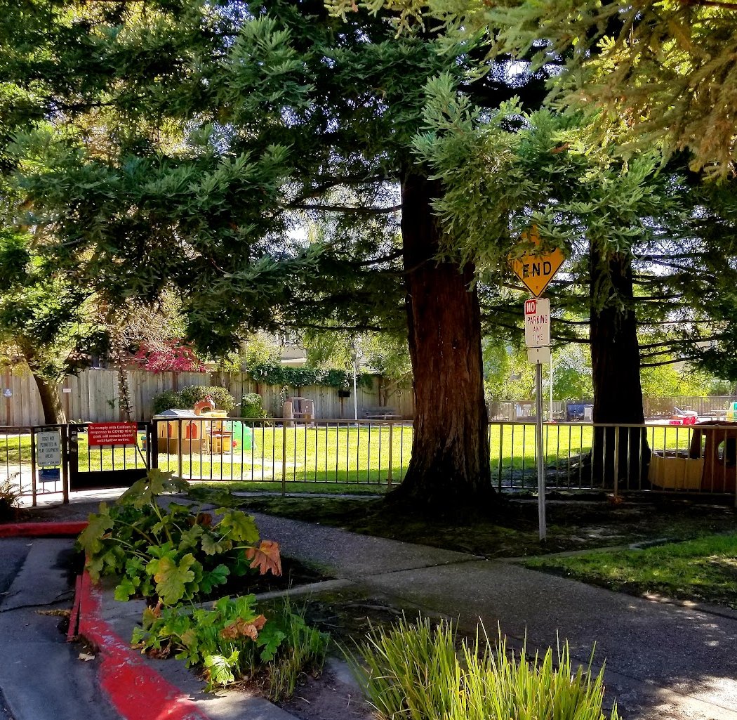 Bateman Mall Park 2