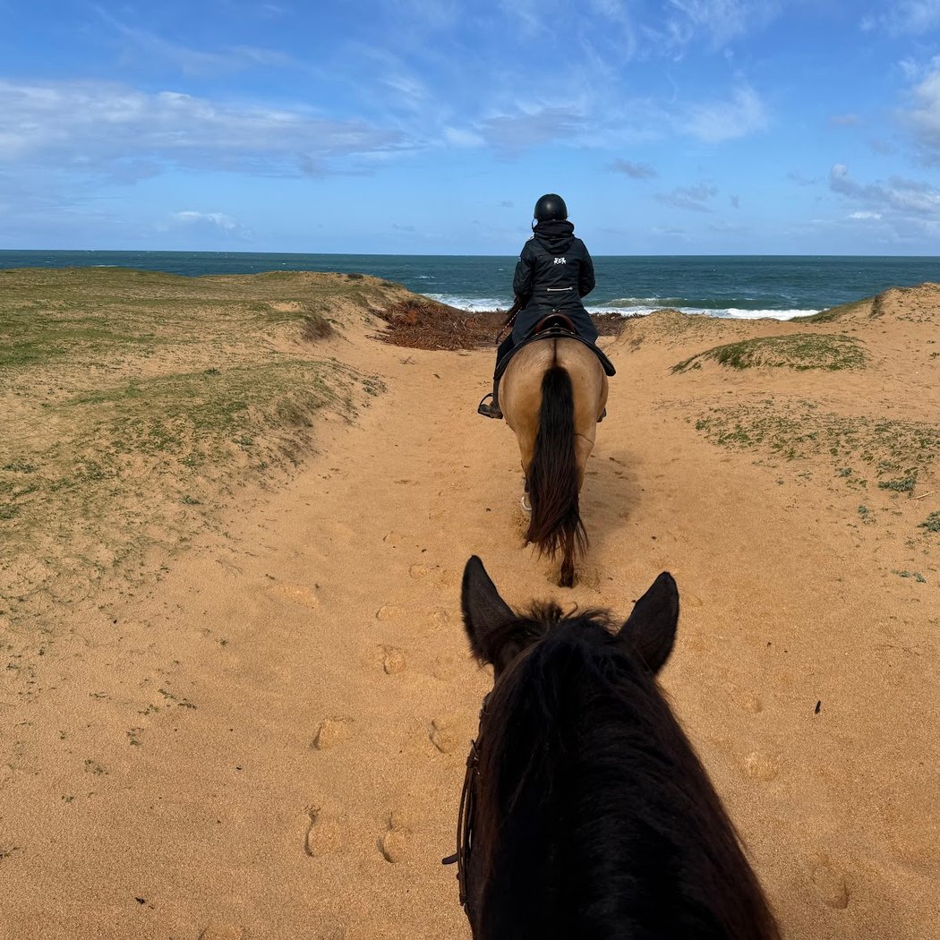 Stud Des Plages 2
