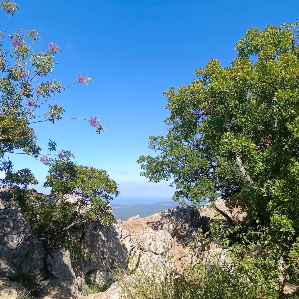 Pic saint Loup 3