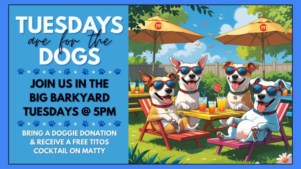 Pups in the Big Barkyard