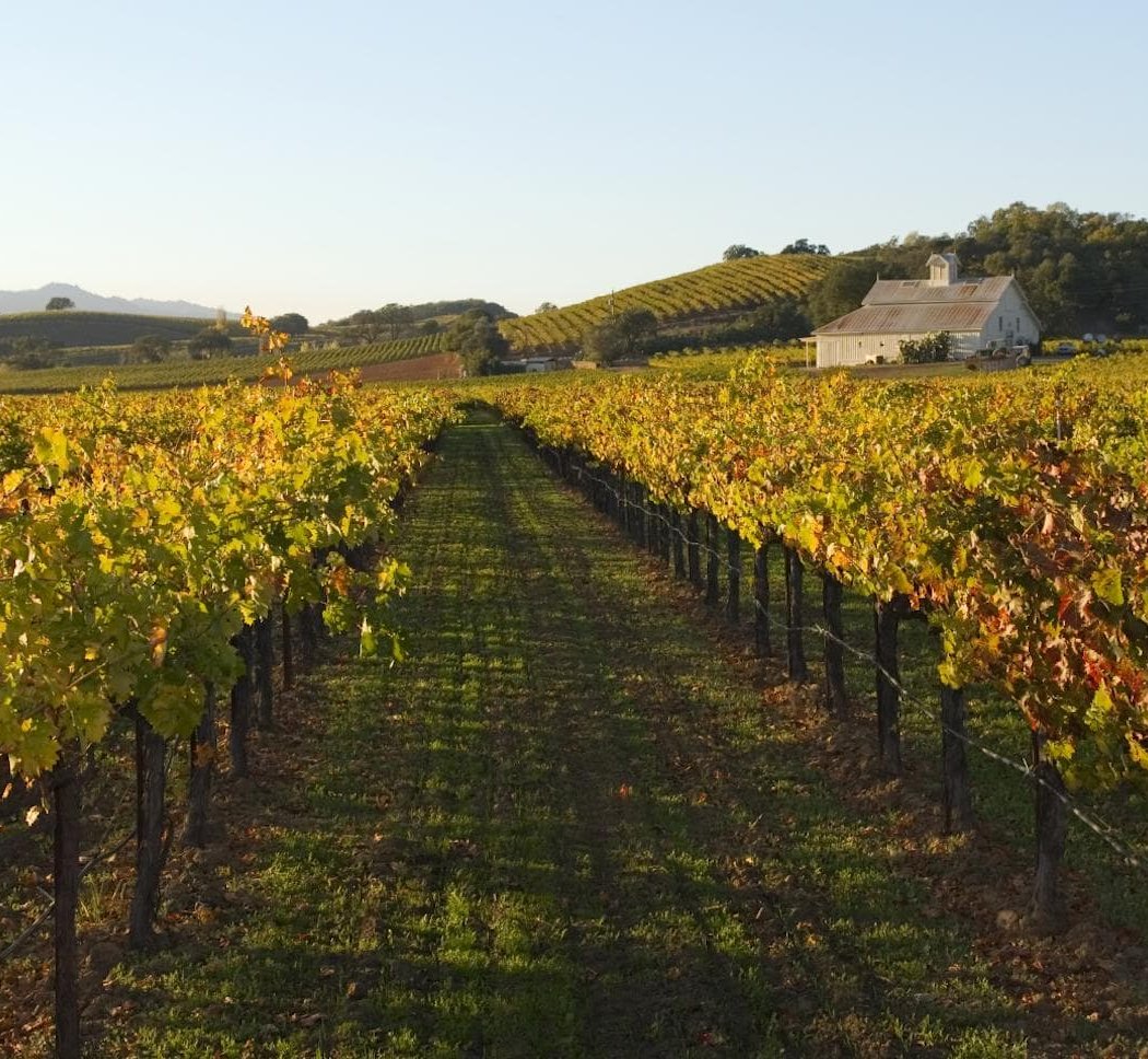 Sheraton Sonoma Wine Country Petaluma 2