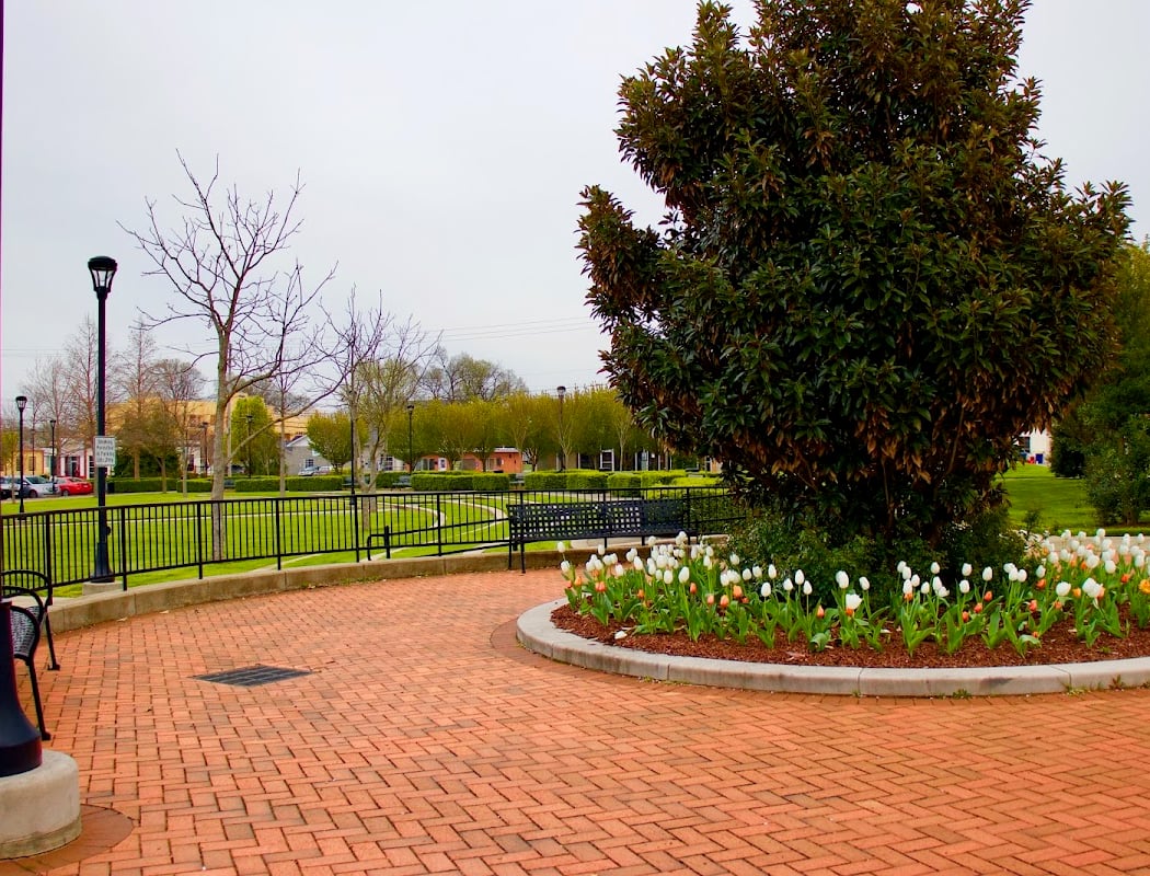 Circus Square Park 3