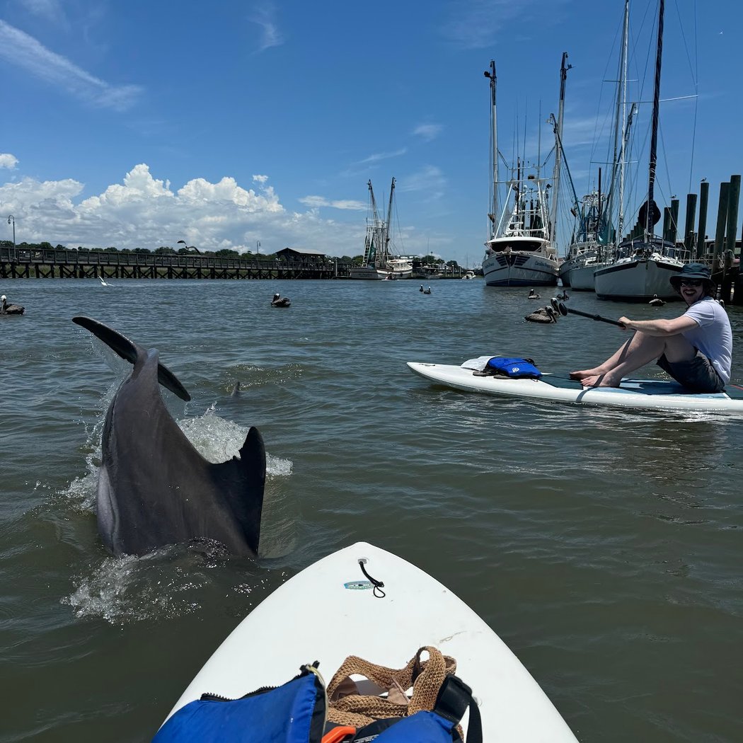 Nature Adventures on Shem Creek 1