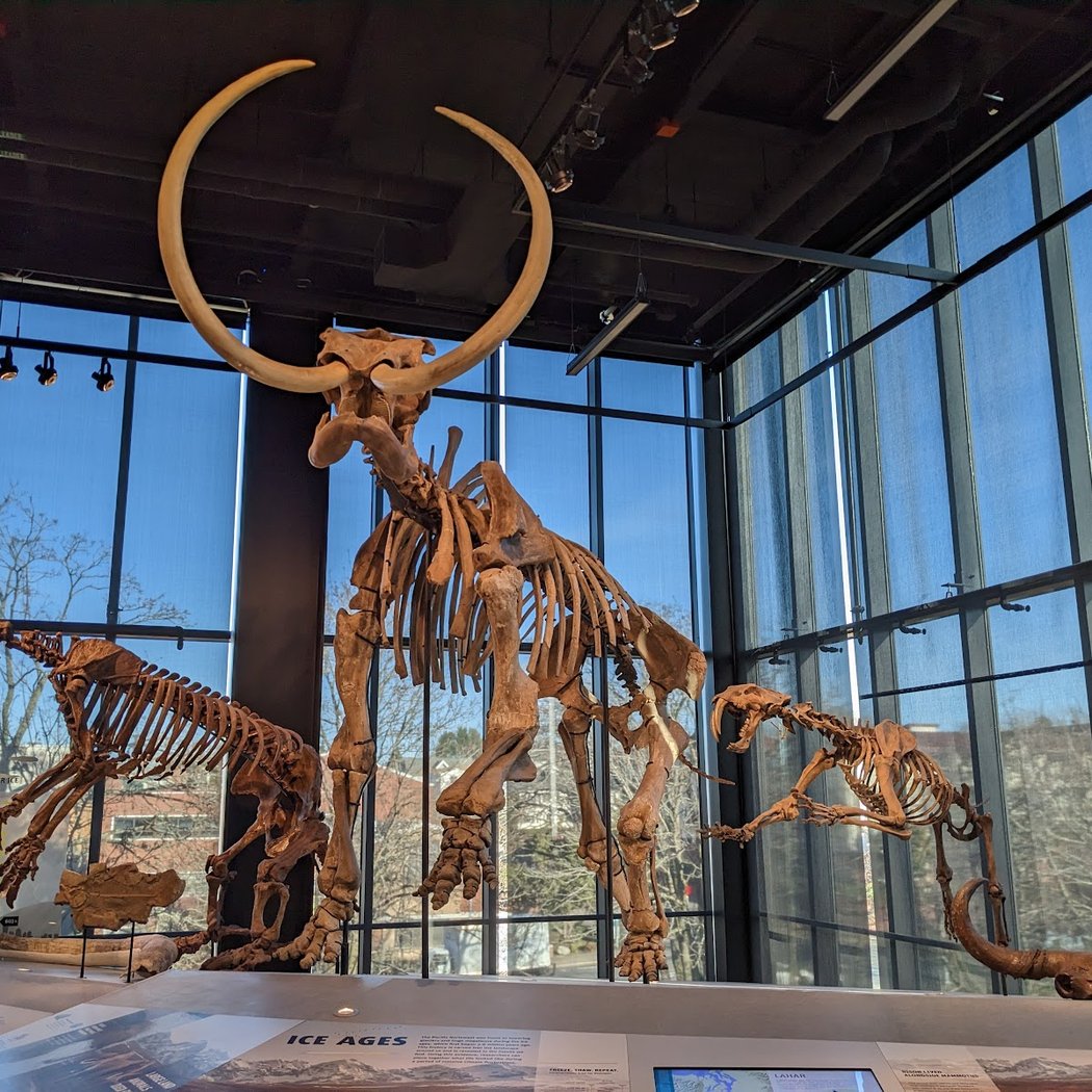 Burke Museum of Natural History and Culture