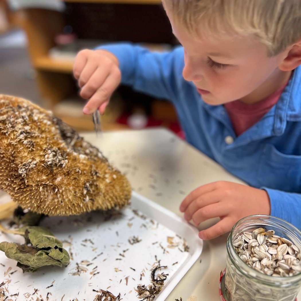 Daycroft School 5