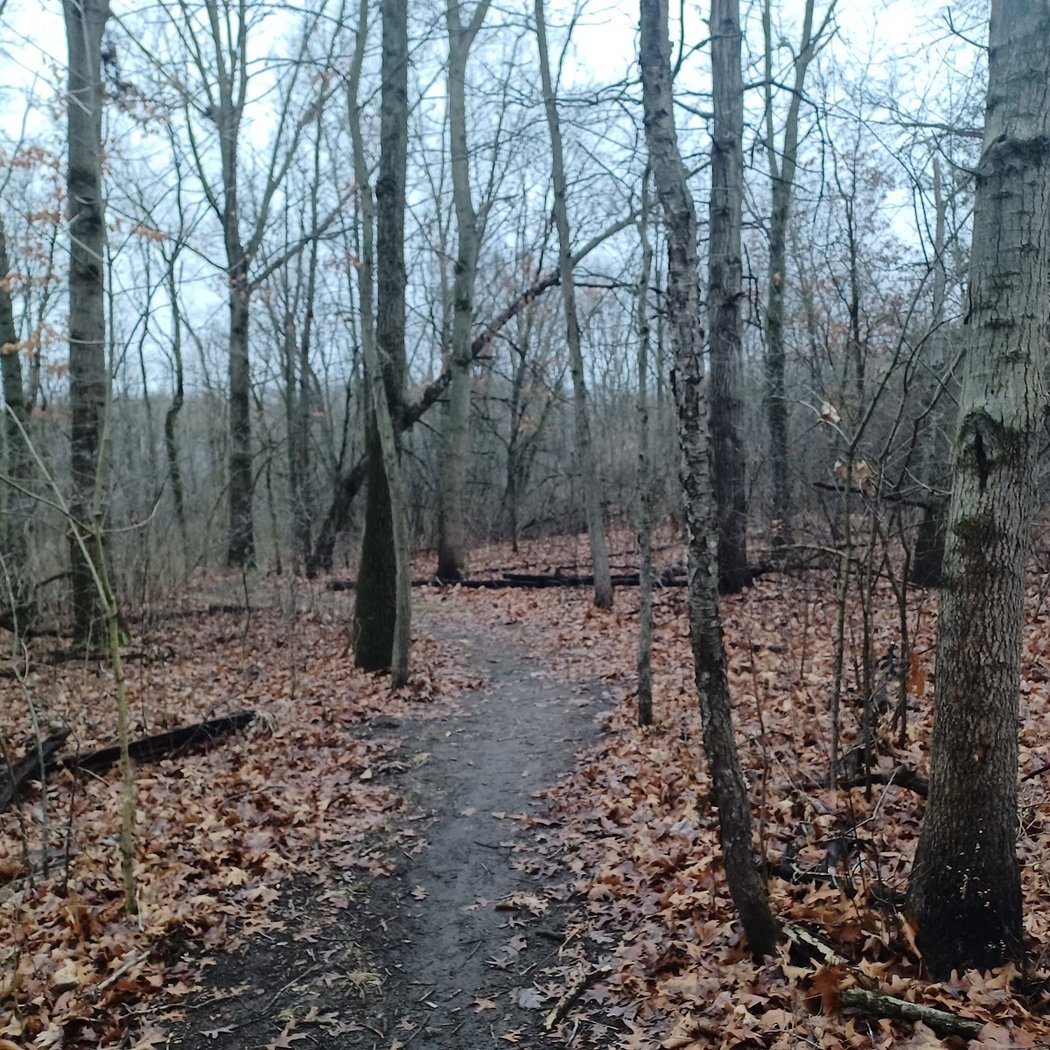 Burns-Stokes Preserve 2
