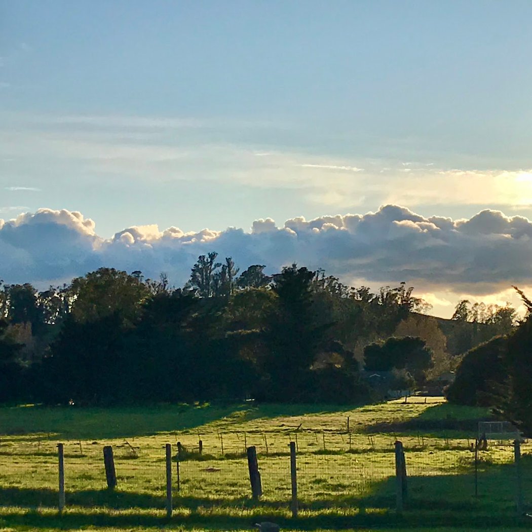 Penngrove 1