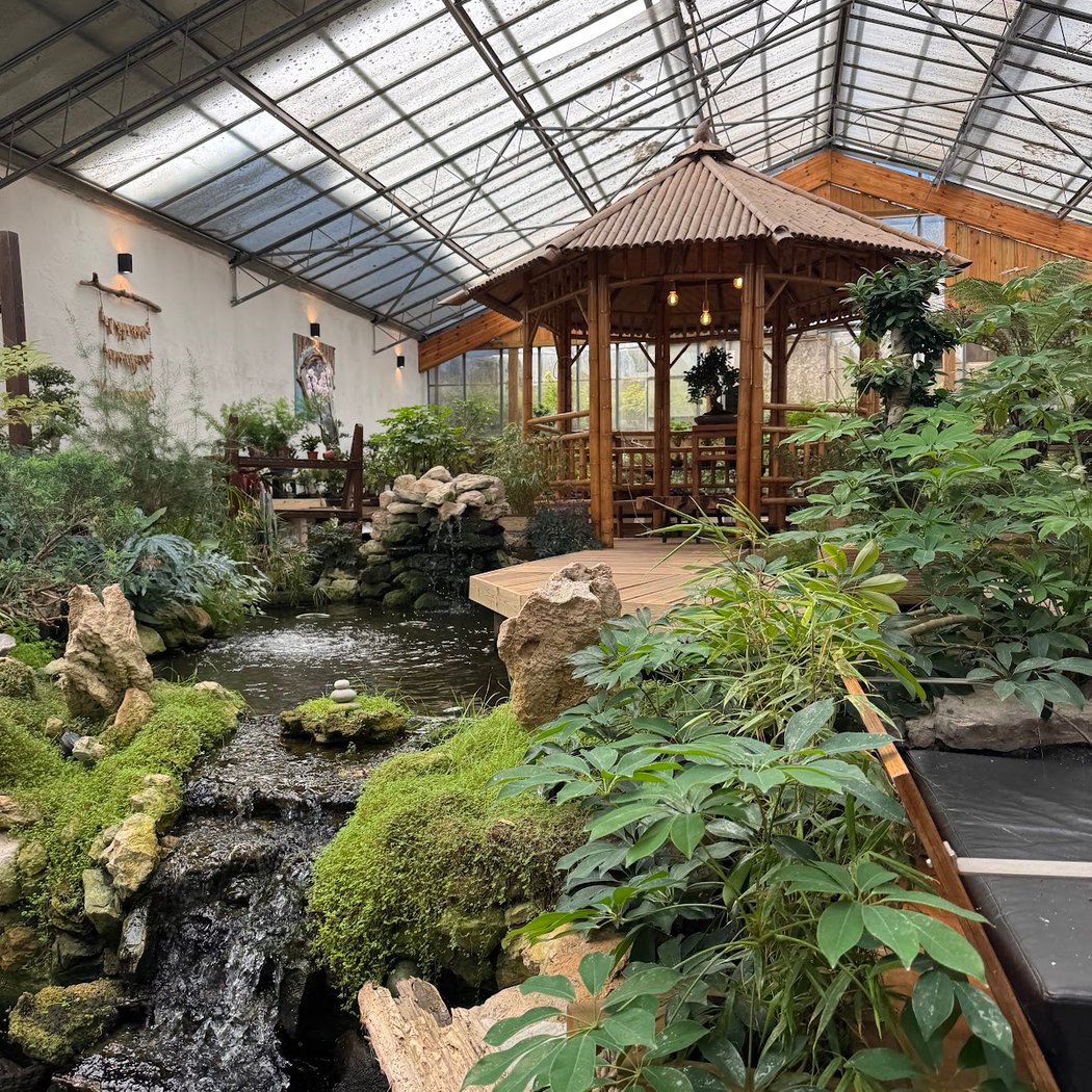 Museu do Bonsai 2