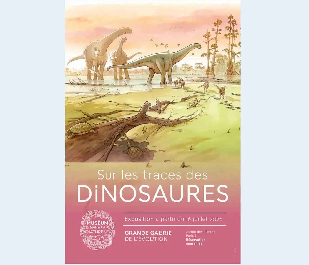 Sur les traces des dinosaures