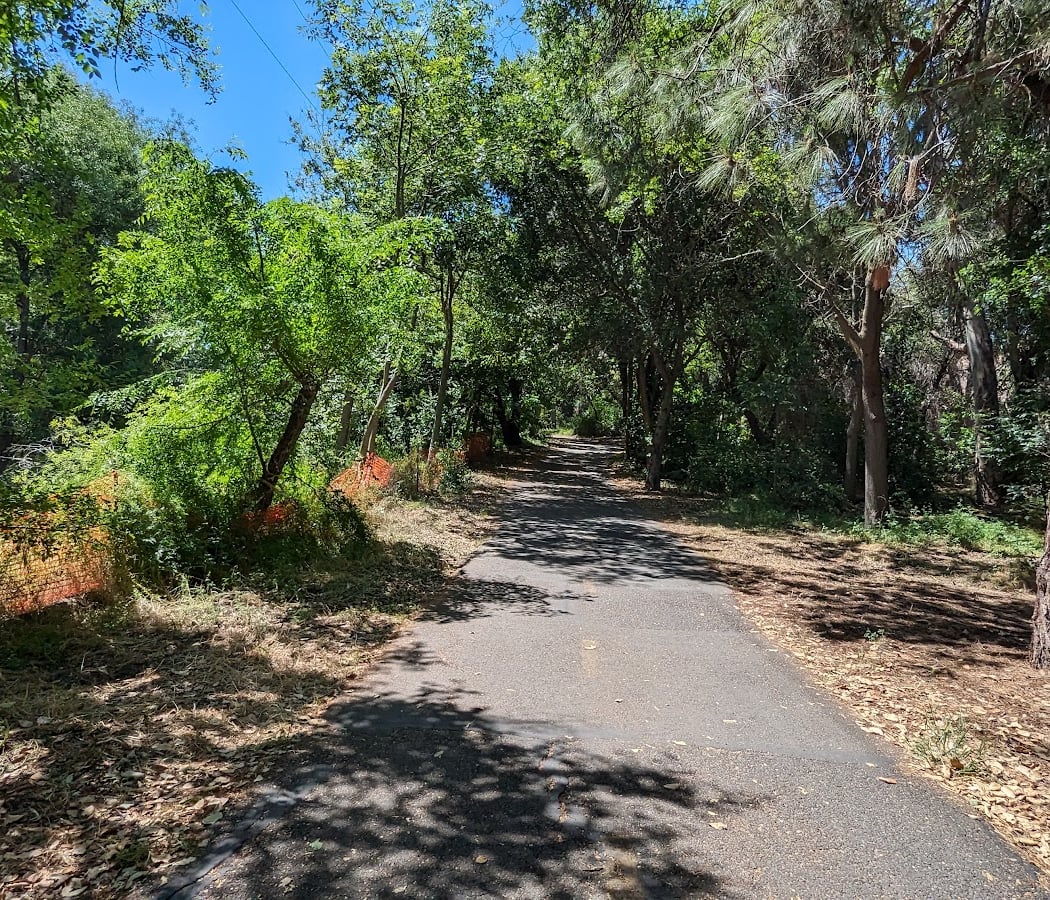 Whisman Dog Park 3