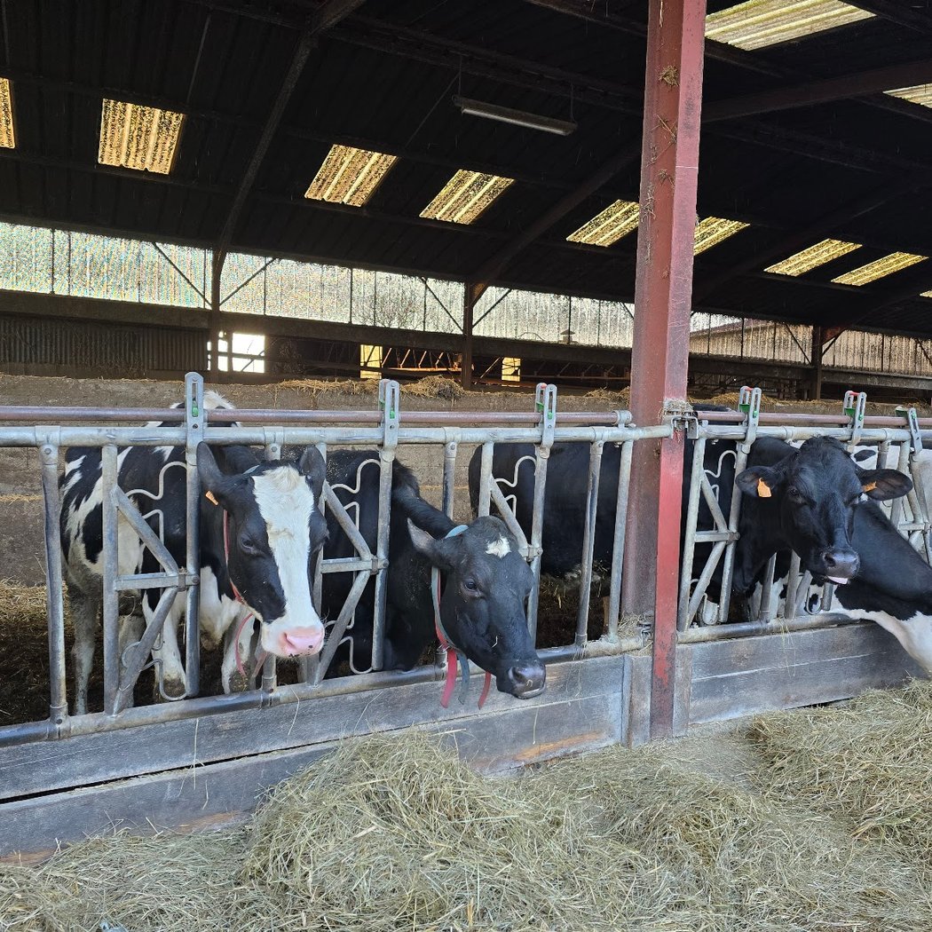 EARL Saint Thibault Farm 3