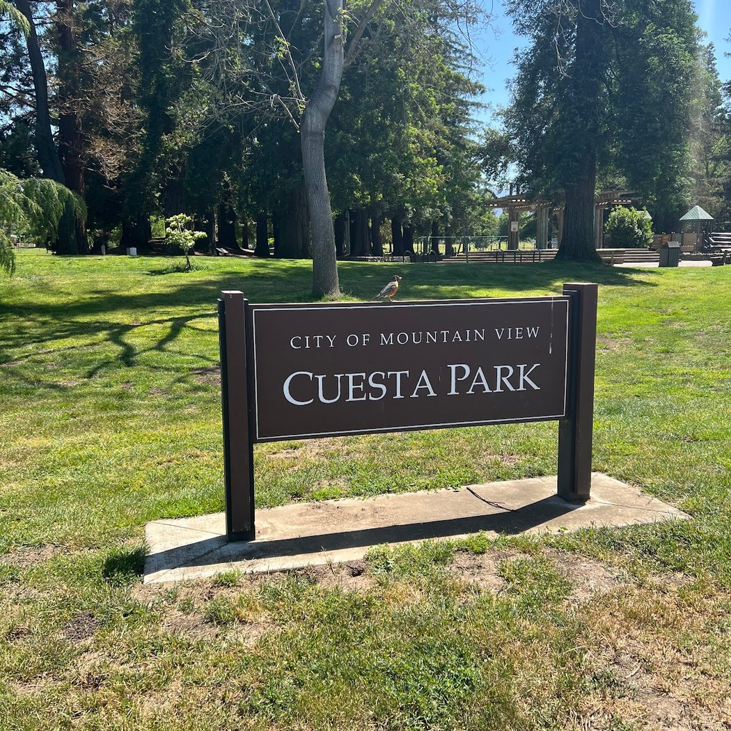Cuesta Park 3