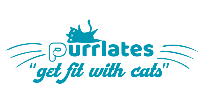 Cats on Mats (Purrlates) 1