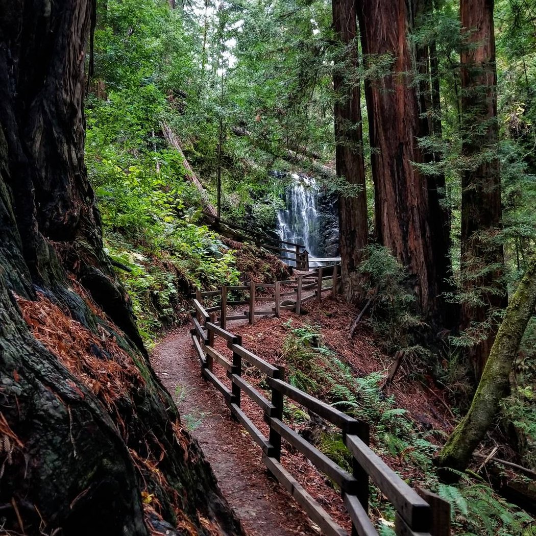 Berry Creek Falls 2