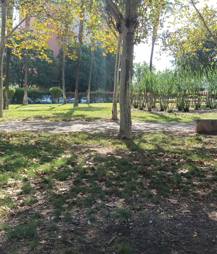 Parque AGUMORE 2