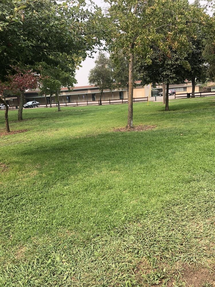 Sorensdale Park 2